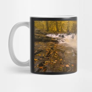 The Birks of Aberfeldy Fall Colours Mug